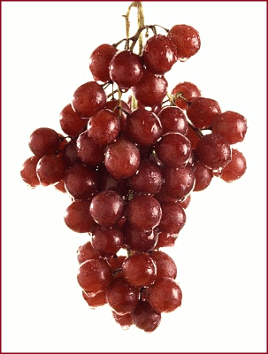 [red_grapes.png]