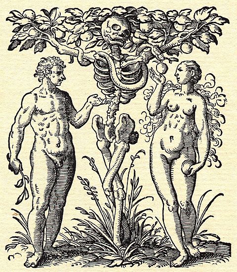Adam and Eve Anatomy - Rueff