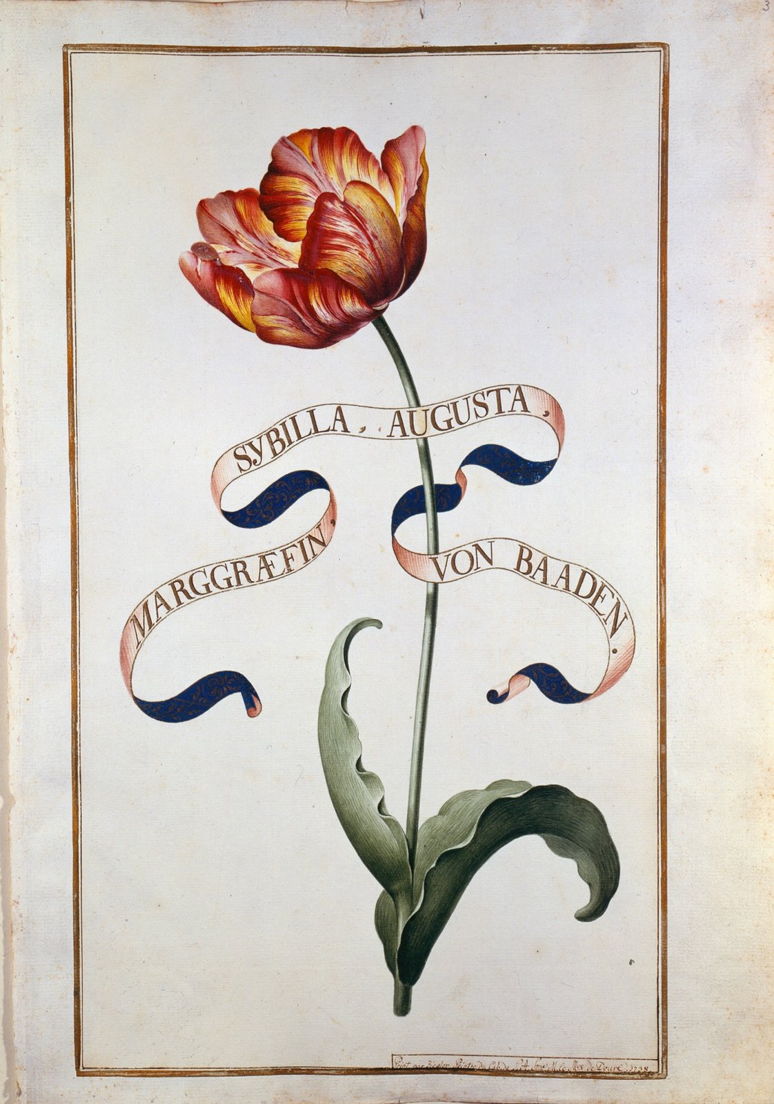 German Tulip Book - 18th century