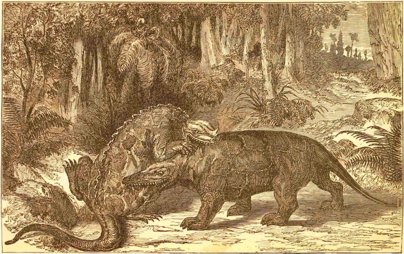 Scene of the Lower  Cretaceous Period