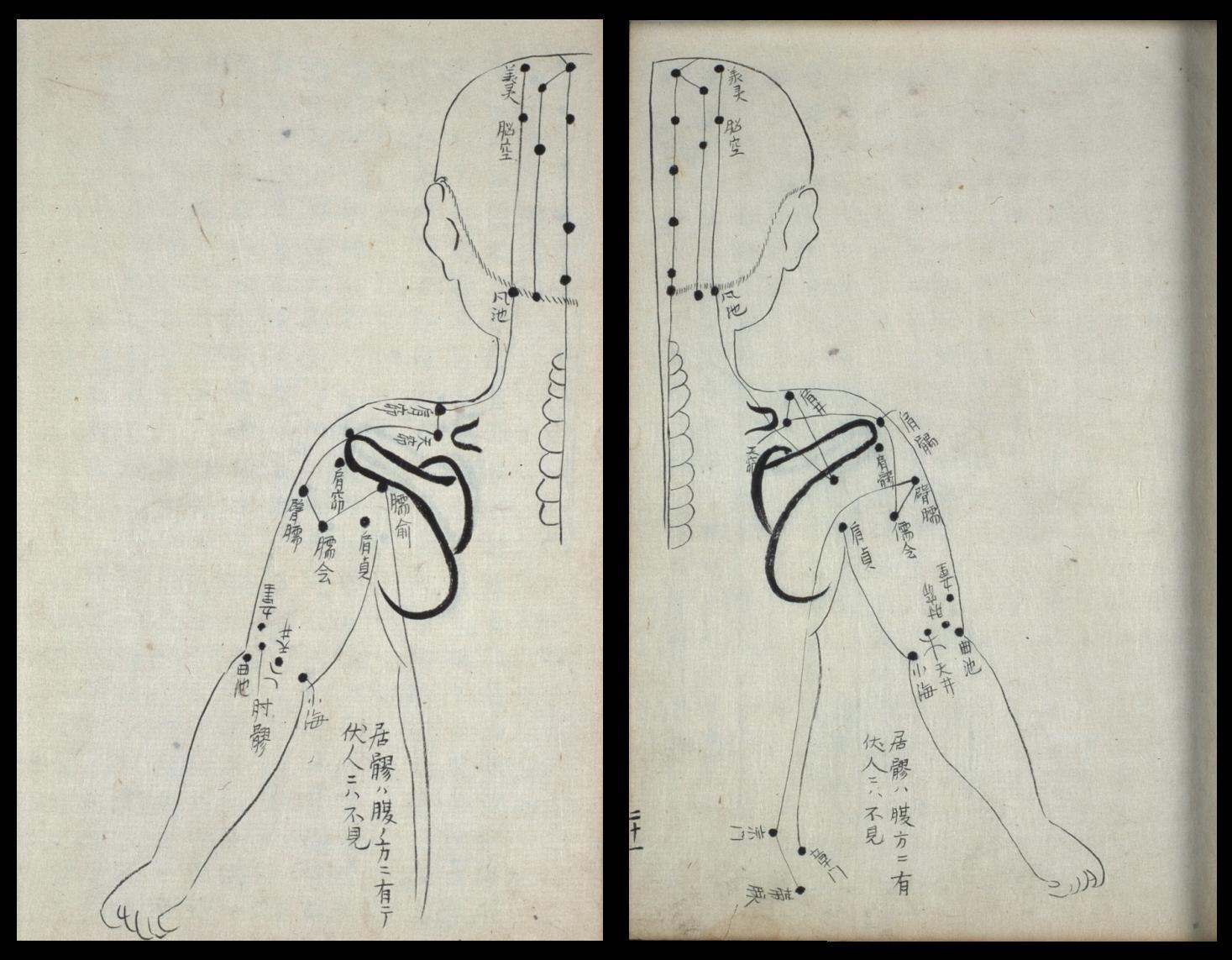 lateral acupuncture points - rare book from Japan