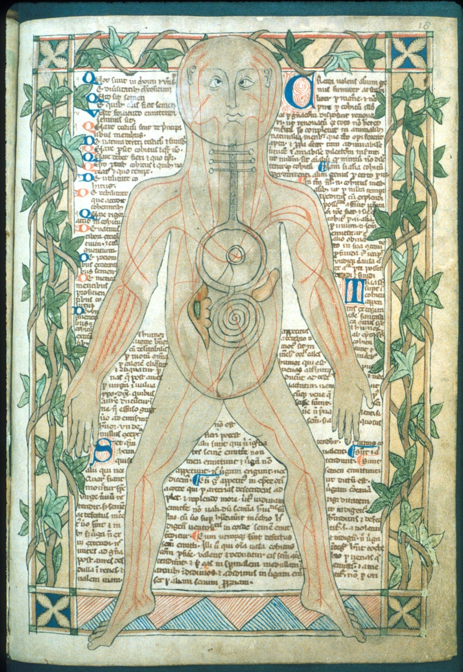 13th century medical miscellany