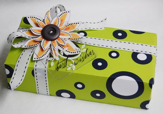 [Roree-TI-June08-best+wishes+tag+and+gift+box.jpg]