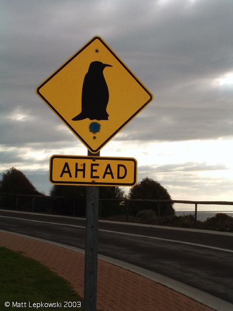 [penguin-sign.jpg]