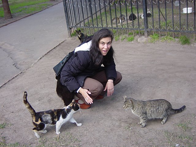 [kate+cats.jpg]