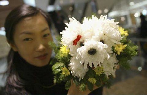 [Puppy+Bouquet+2.jpg]
