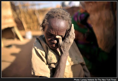 Darfur sudan genocide essay