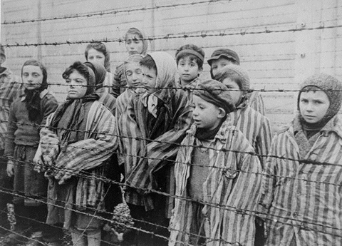 [Auschwitz-children_MEGA.gif]