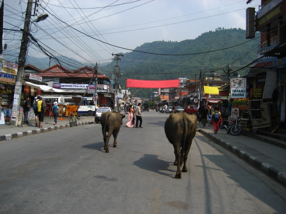 [Nepal+2007-2471.jpg]