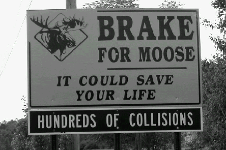 [Break_for_moose_sign.gif]