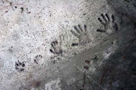 [concrete_family_handprints.jpg]
