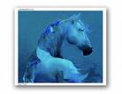 [Blue+Horse.jpg]
