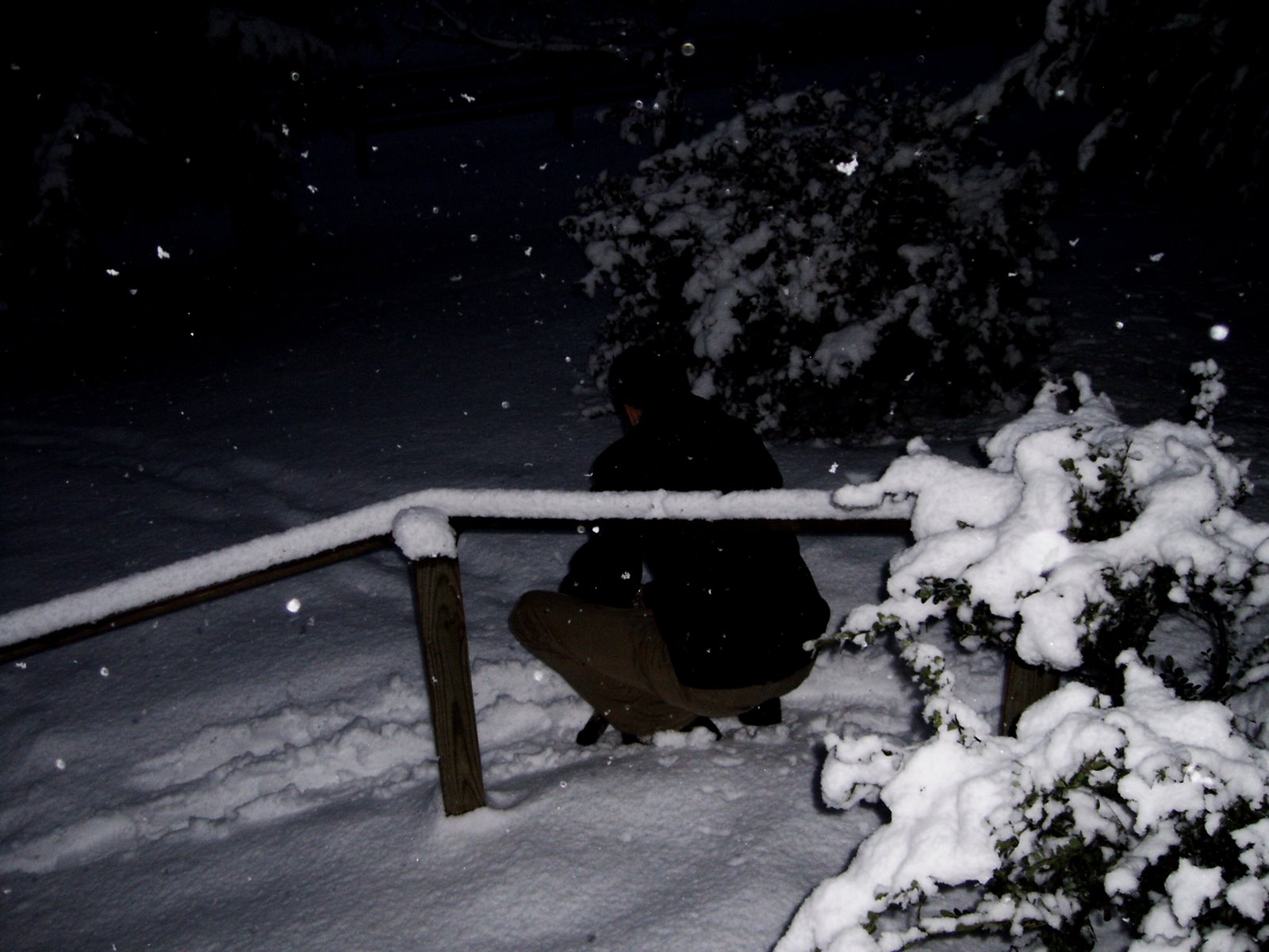 [Leap+Day+Snow+2008+-+02.JPG]