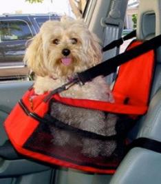 [Small+Dog+Carrier+-+Car+Booster+Seat+w+Dog.jpg]