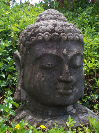 [buddha-statue-at-hottub_B.jpg]