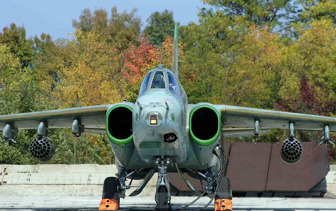 [Su-25(12aa).jpg]