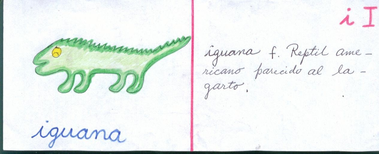 [Ficha+Conceptual+Iguana.jpg]