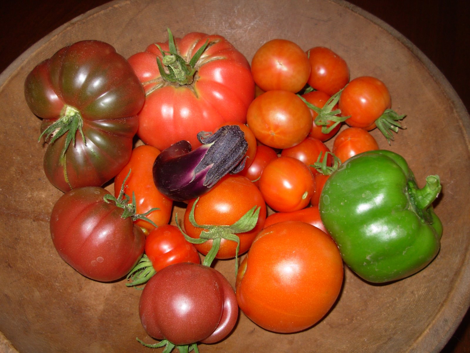 [bowl+of+tomatoes.JPG]