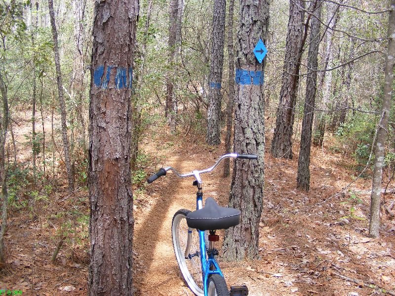 [Mountain+Bike+Trail+Sesqui+Park+-+narrow+path.jpg]