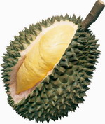 [durian-B-150.jpg]