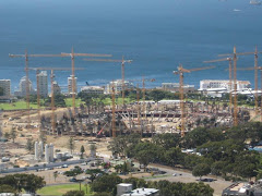 New stadium being built for the 2010 World Cup