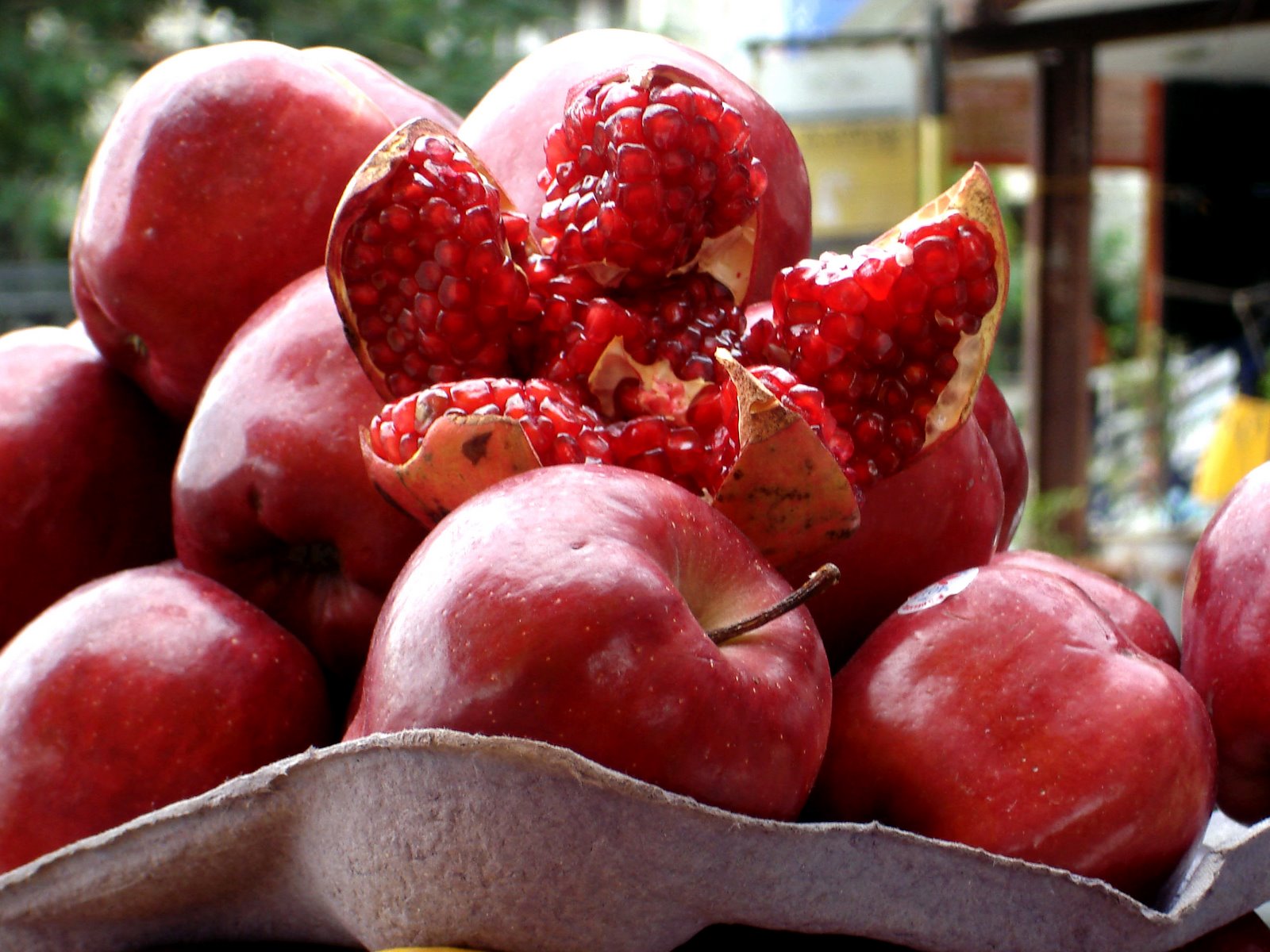 [fruits-pomegranate-apples-001.jpg]