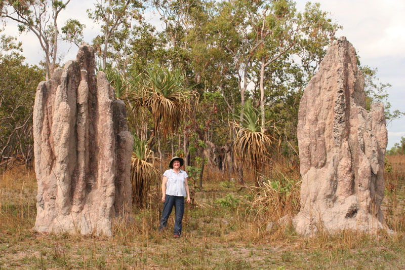 [Termite_cathedral_mounds.jpg]