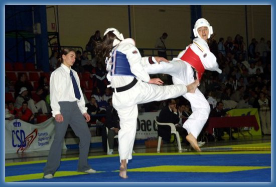 [fotos+taekwondo+(10).jpg]