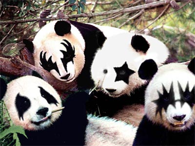 [20040907.Panda.jpg]
