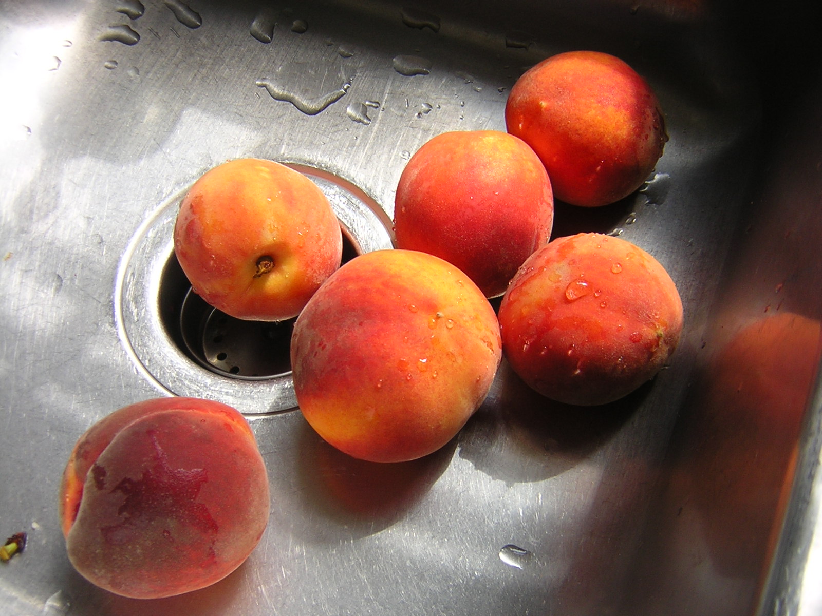 [peaches0001.JPG]