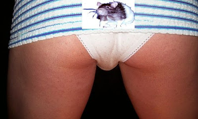 panties with photo of a rat