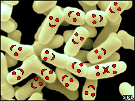 [happy+bacterias.jpg]