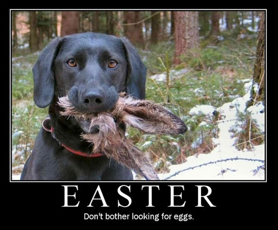 [Easter+Dog.jpg]