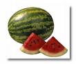[Watermelon1.jpg]