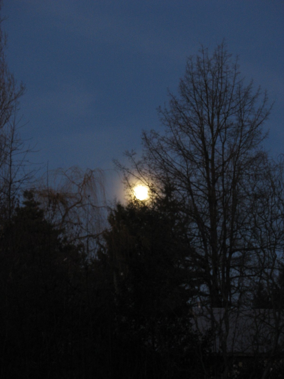 [2006_January_Moon+071.jpg]