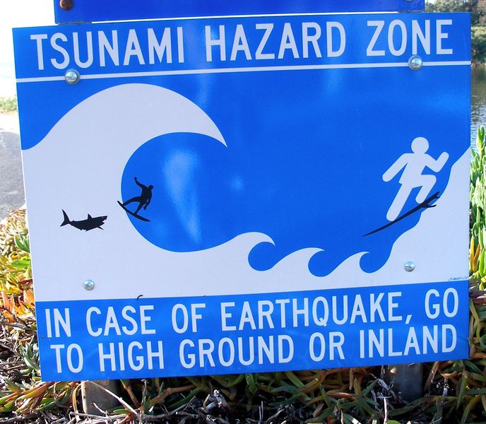[Tsunamihazardzonesign.jpg]