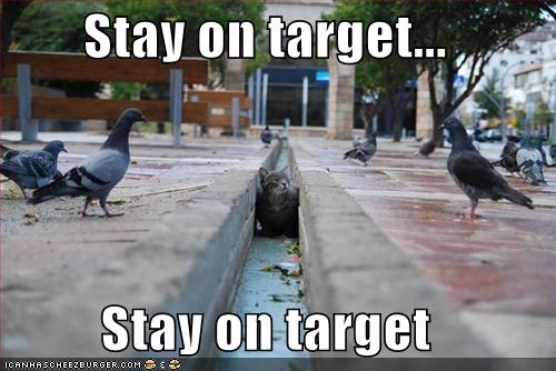 [stay+on+target.jpg]