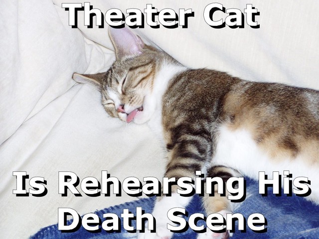 [theater+cat.jpg]