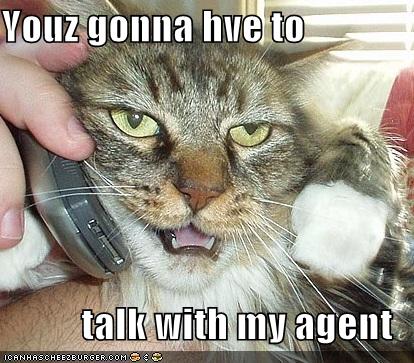 [agent+kitty.jpg]