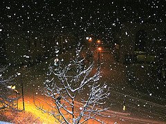 [snow.jpg]
