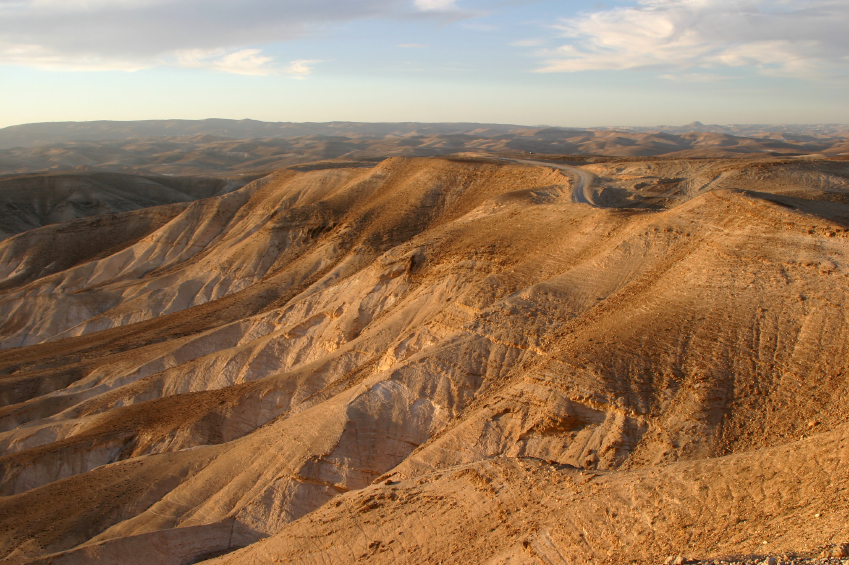 [AWH:Israel:desert1.jpg]