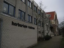 Herbarium Vadense WUR Wageningen