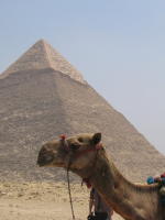 [2006-06-18+cairo+camel+ride+014.jpg]
