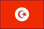 [tunisia+flag.jpg]