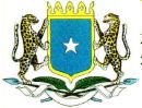 [somalia+flag.jpg]