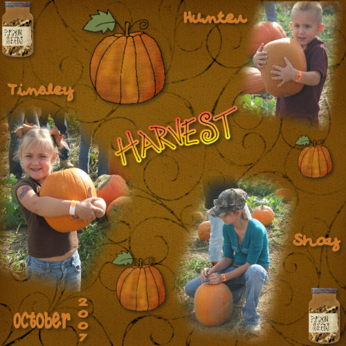 [Pumpkin+Harvest.jpg]