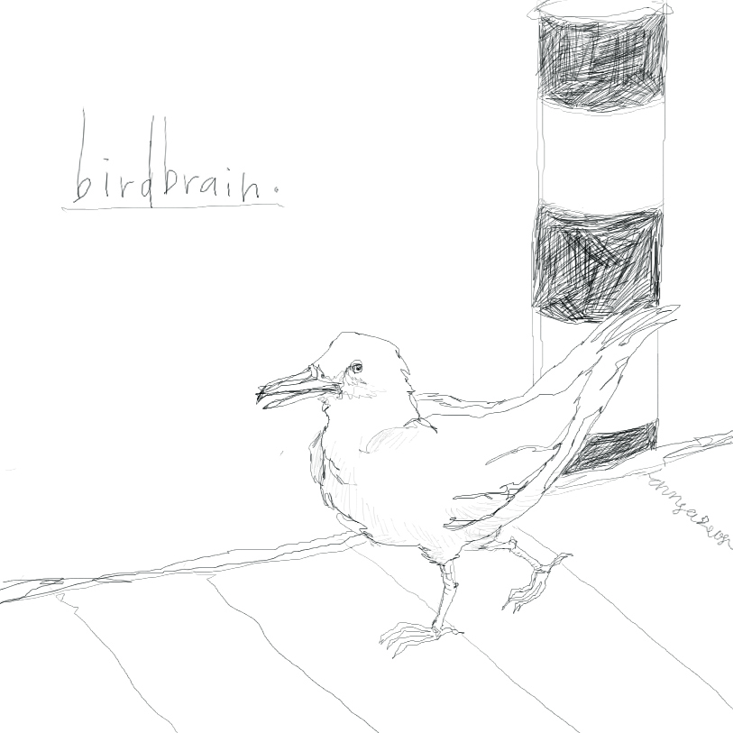 [Birdbrain]