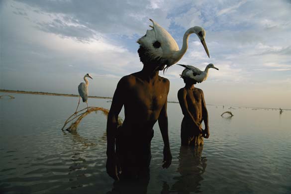 [CAbezas+de+Pájaro+en+el+Indus+paquistaníGD8107609@Mohanis-fishermen-cat-4795.jpg]