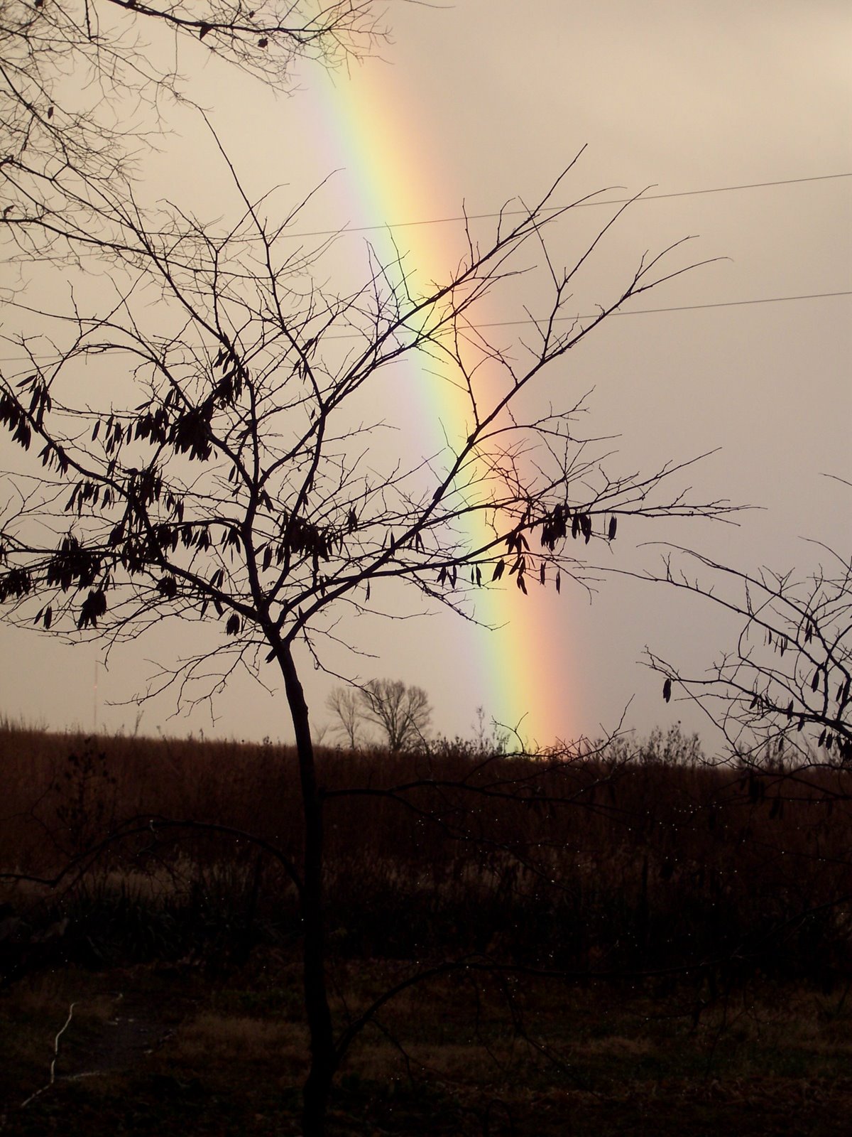 [Winter+Rainbow.jpg]