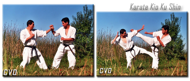 Karate KYOKUSHIN